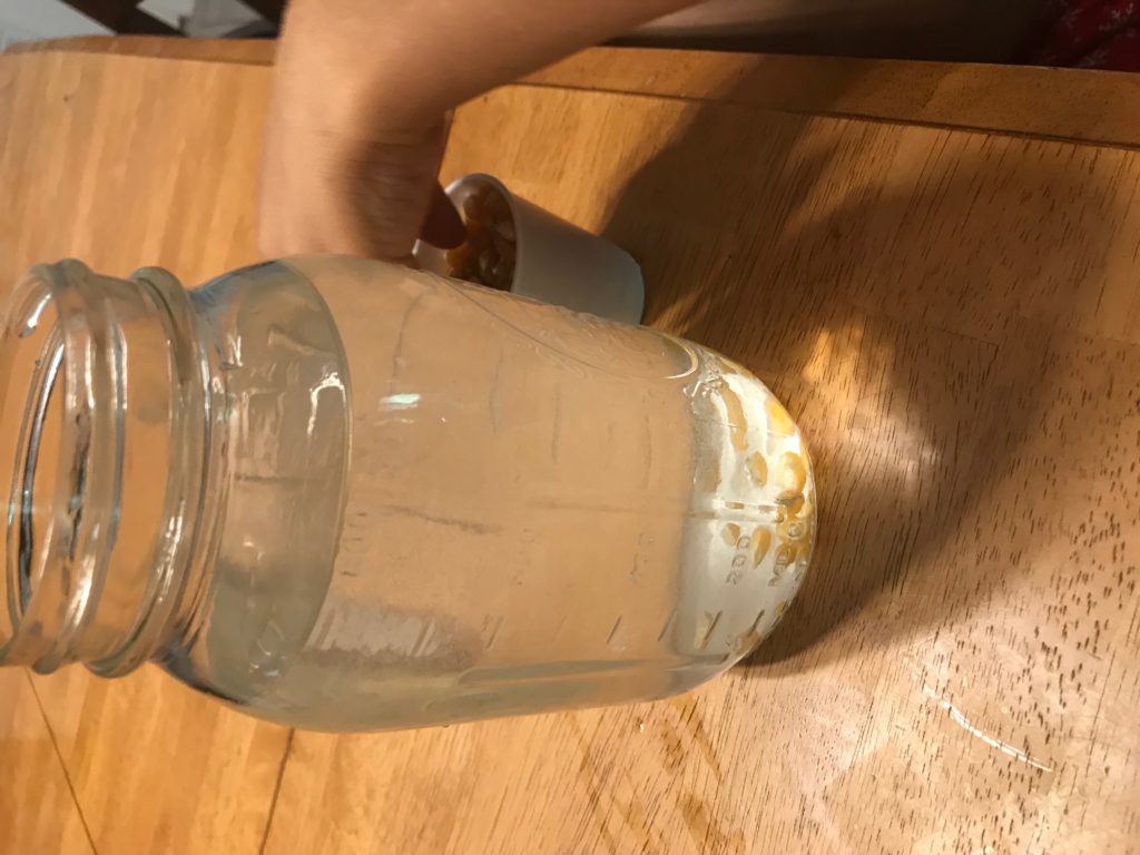 jar with vinegar