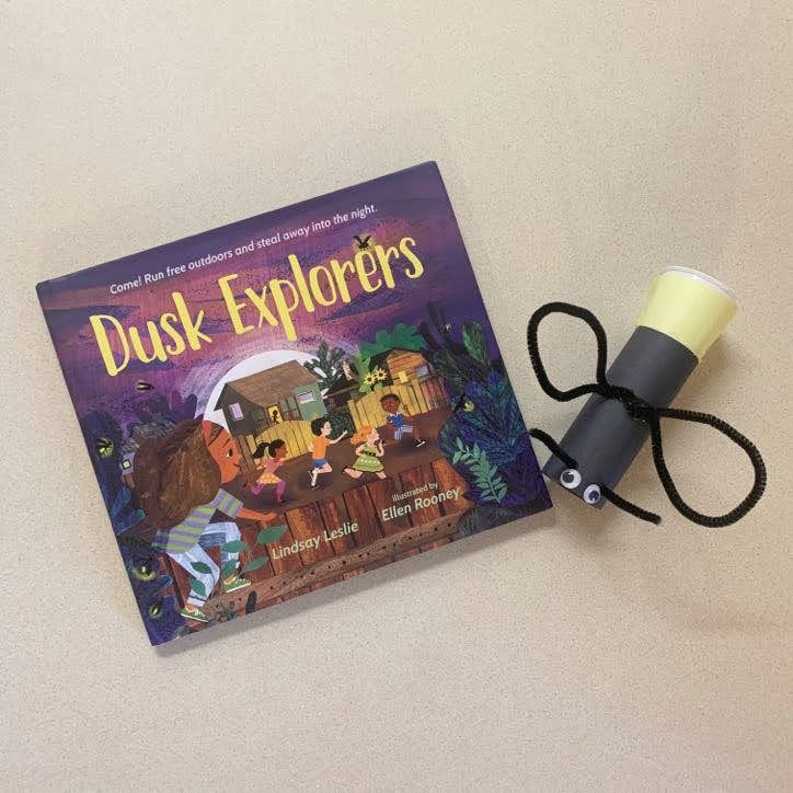 Read more about the article Dusk Explorers