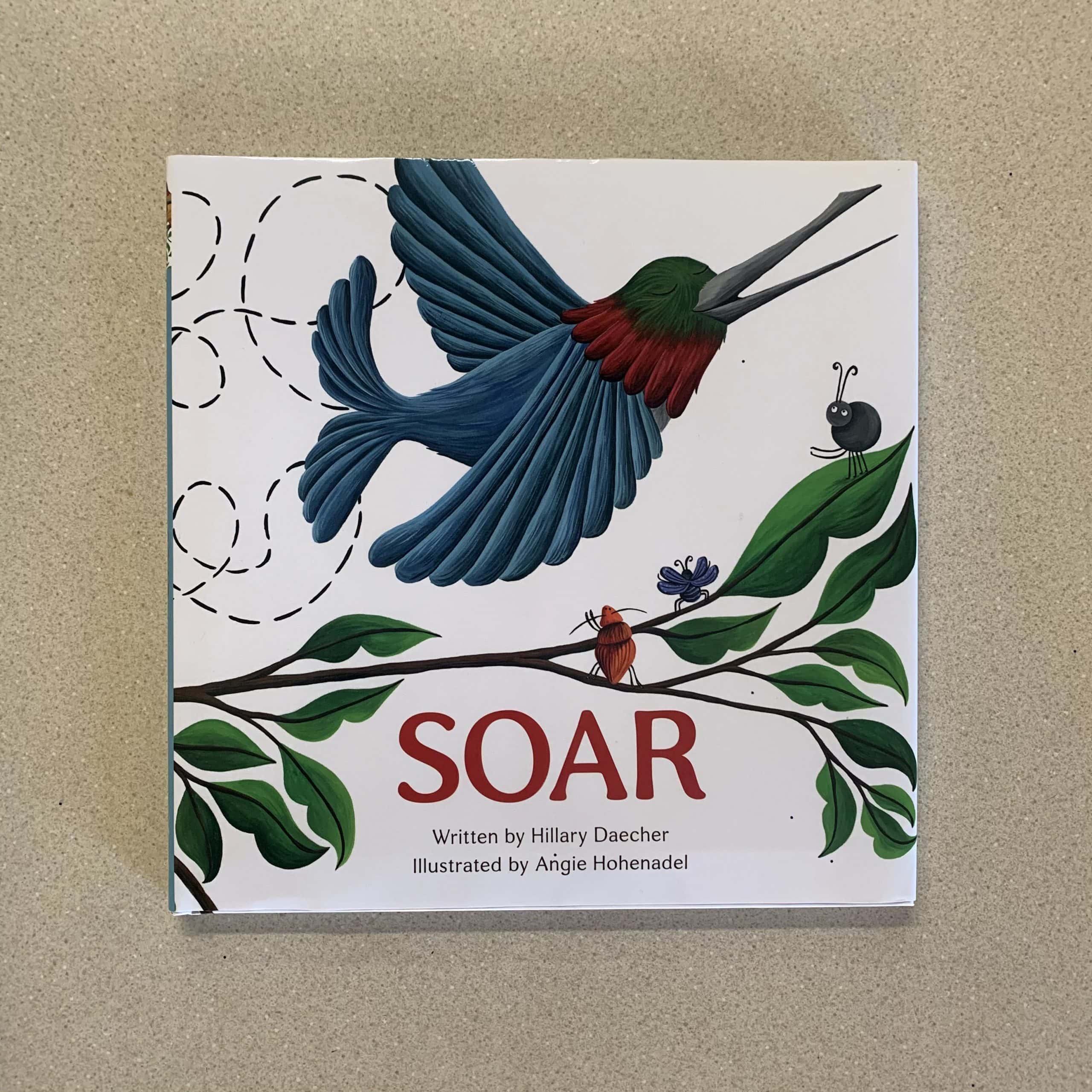 Read more about the article Soar